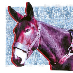 Ultimate Success Today