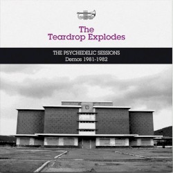 The Psychedelic Sessions Demos 1981–1982