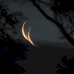 hallucinations of the moon / surroundings