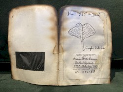 Op. 160c Gingko Biloba Fliegtdurch die Raume