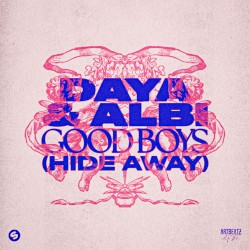 Good Boys (Hide Away)