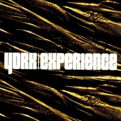 Experience