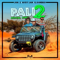Pali2 (remix)