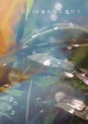 朝露は木漏れ日に溶けて