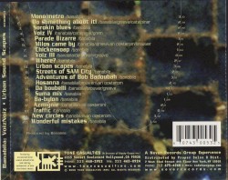 VoizNoiz: Urban Sound Scapes