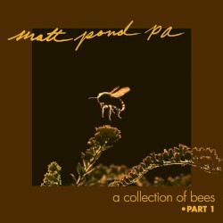 A Collection of Bees, Part 1