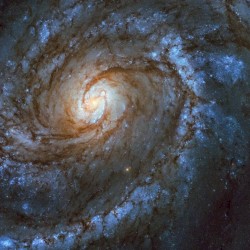 M100
