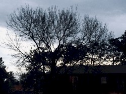 7am Altoona April 8th 2025