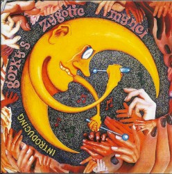 Introducing...Gorky’s Zygotic Mynci