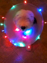 Death Seat: The Murfreesboro Mix