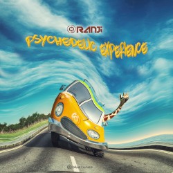 Psychedelic Experience