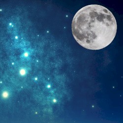 drunk with the light