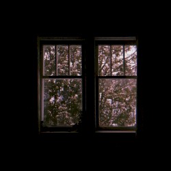 Anthesis