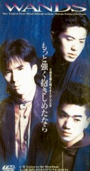 もっと強く抱きしめたなら