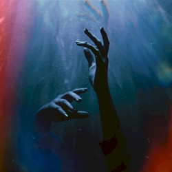 While the World Slowly Dies