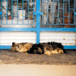 Die richtigen Fragen