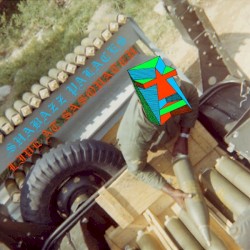 Live At Sasquatch 2010