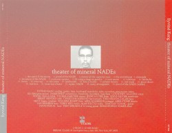 Theater of Mineral NADEs