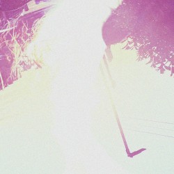 I wish I could tell you I love you