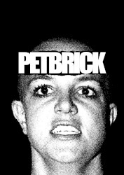 Petbrick