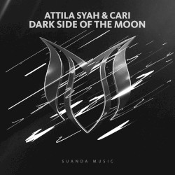 Dark Side of the Moon