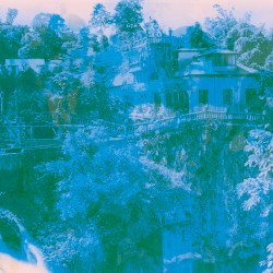 The Pleasure Gardens of Cairns