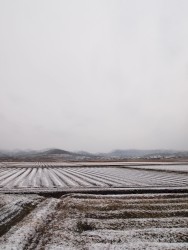 Above the Northern Skies Shown