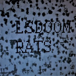 Rats