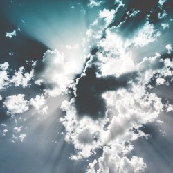 Make Your Dreams Come True