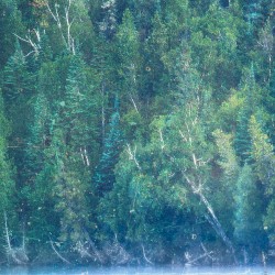 Sighting at Bigtooth Ridge