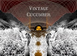 Tom mit de Bon Style