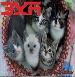 Una Cesta de Gatitios