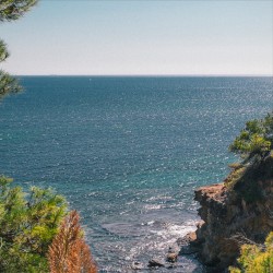 Your Home Is Your Throne