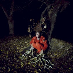 Whispers From Ancient Vessels