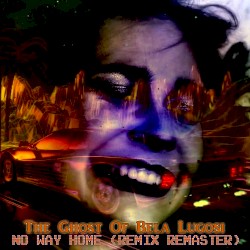 No Way Home (remix-remaster)