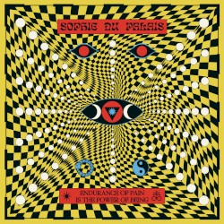 Endurance of Pain Is the Power of Being