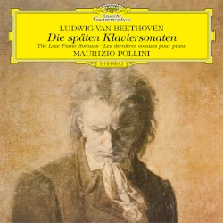 The Late Piano Sonatas nos. 28-32