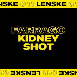 Kidney Shot EP