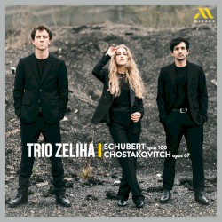 Schubert: Opus 100 / Chostakovitch: Opus 67