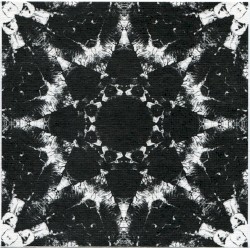 There I Saw the Grey Wolf Gaping