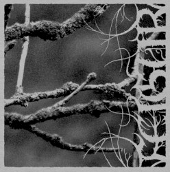 II, Desolation