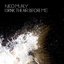 I Drink The Air Before Me