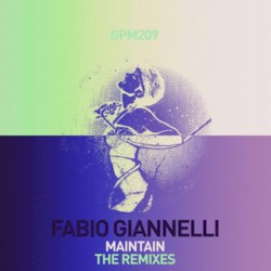 Maintain (The remixes)