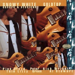 Goldtop: Groups & Sessions 1974–1994