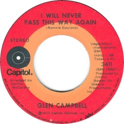 I Will Never Pass This Way Again