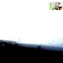 giveup_the-_-ragweed_buddi