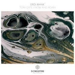 Torii Gate / Now and Again