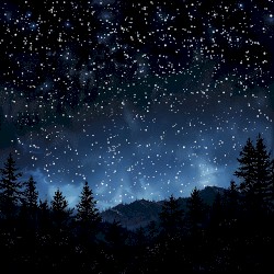 Chasing Stars