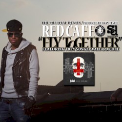 Fly Together (remix)