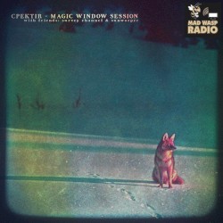 Magic Window Session